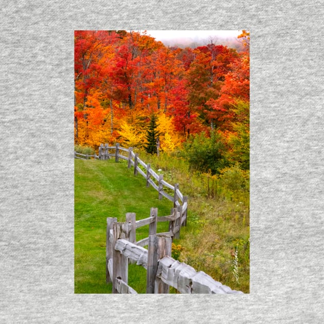 Southridge Autumn Fence by srwdesign